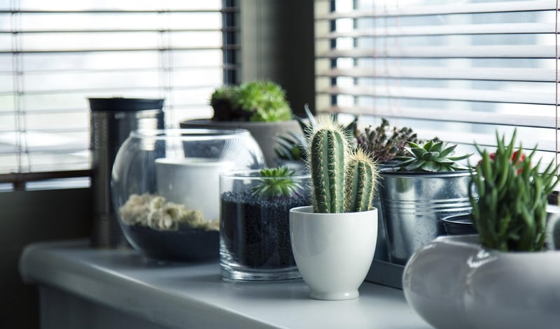 Indoor Vertical Farm